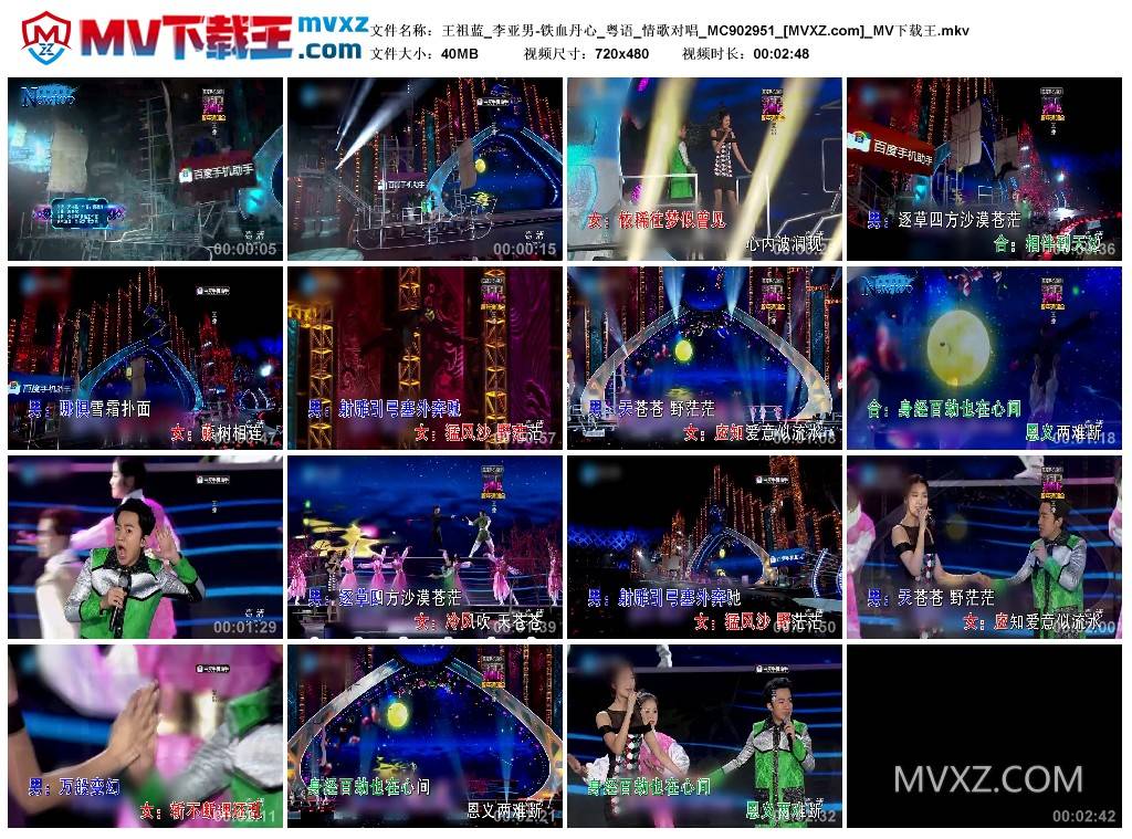 王祖蓝_李亚男-铁血丹心_粤语_情歌对唱_MC902951